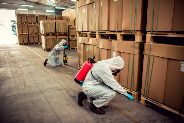 Best Cockroach Control Services  in Easton, PA