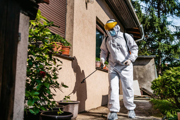 Best Pest Prevention Services  in Easton, PA