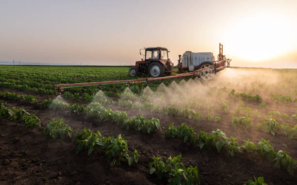 Best Mosquito Control Services  in Easton, PA