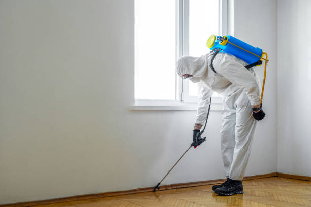 Best Wildlife Control Services  in Easton, PA