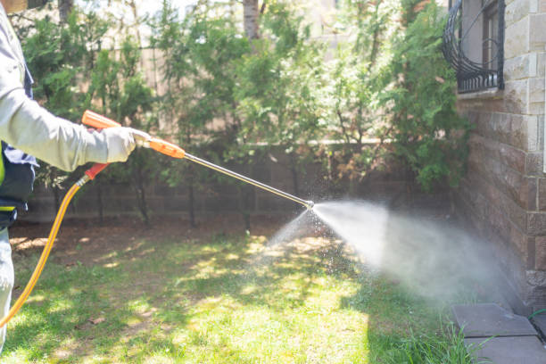 Wildlife Control Services in Easton, PA