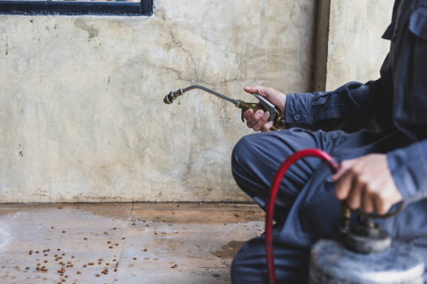 Best Pest Removal Services  in Easton, PA